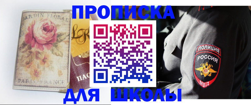прописка гарантия в Заинске
